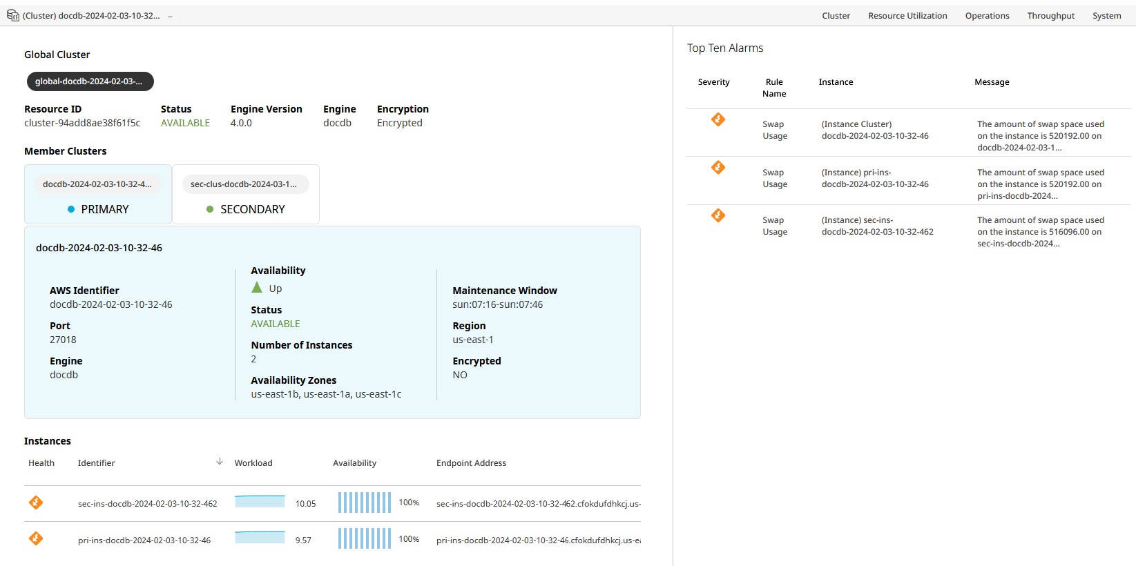 Instance-Based Cluster